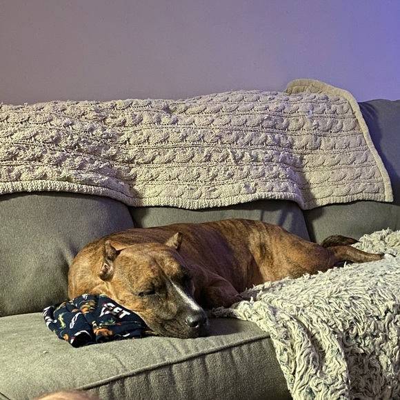 Meet your Posher, B - Picture 1 of 1